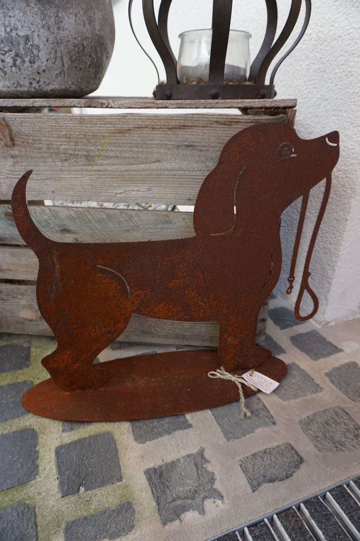 Dog "SUNNY"