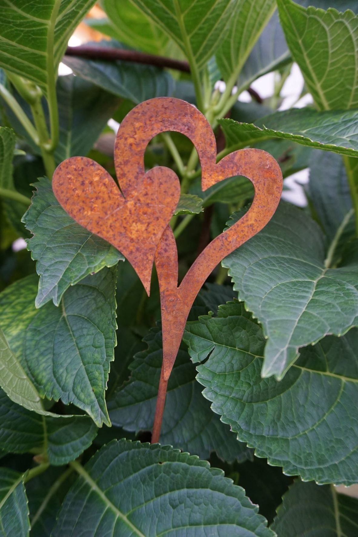 Edelrost Herz Gartenstecker zwischen Blumen