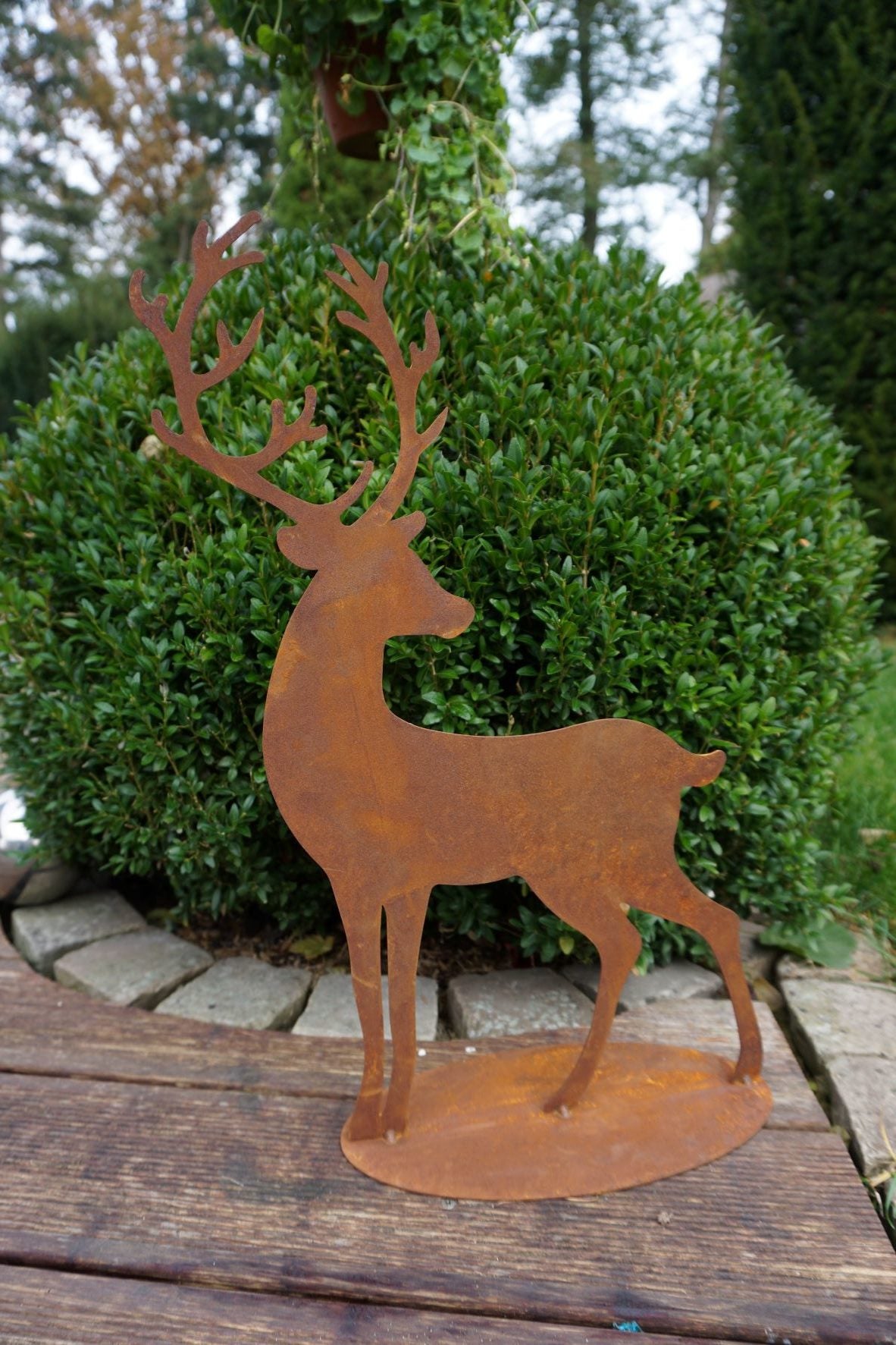 Edelrost Hirsch Leon