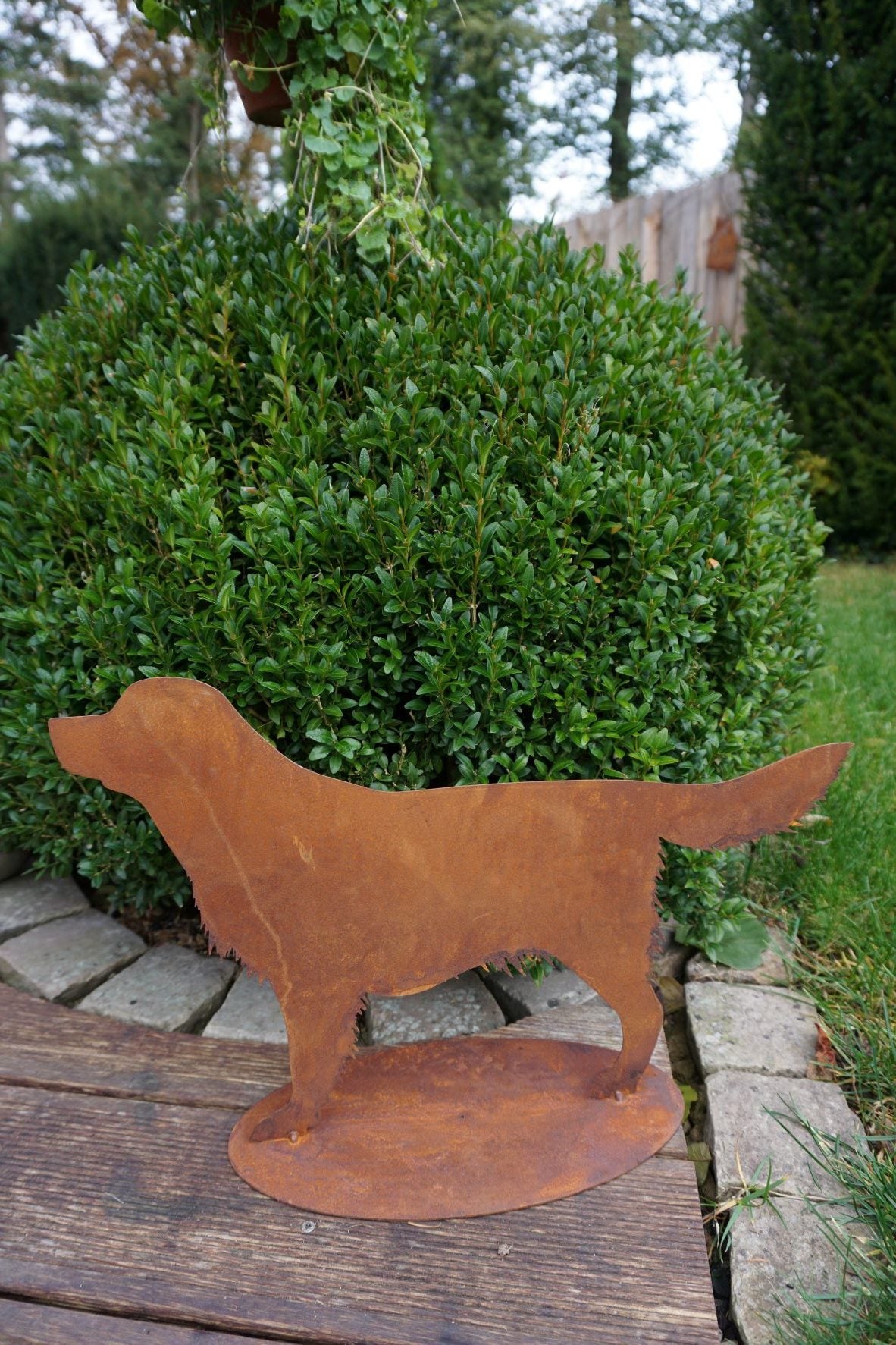 Dog "BENNI"