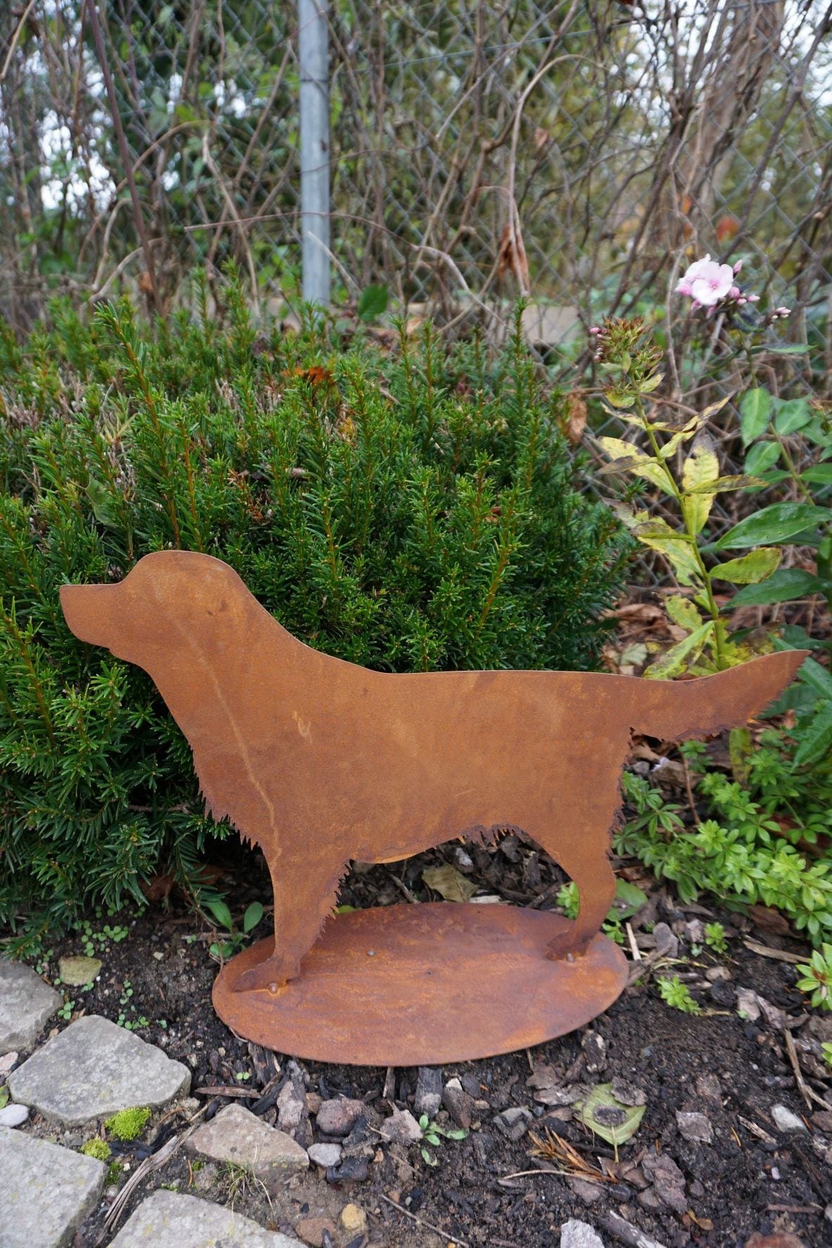 Dog "BENNI"