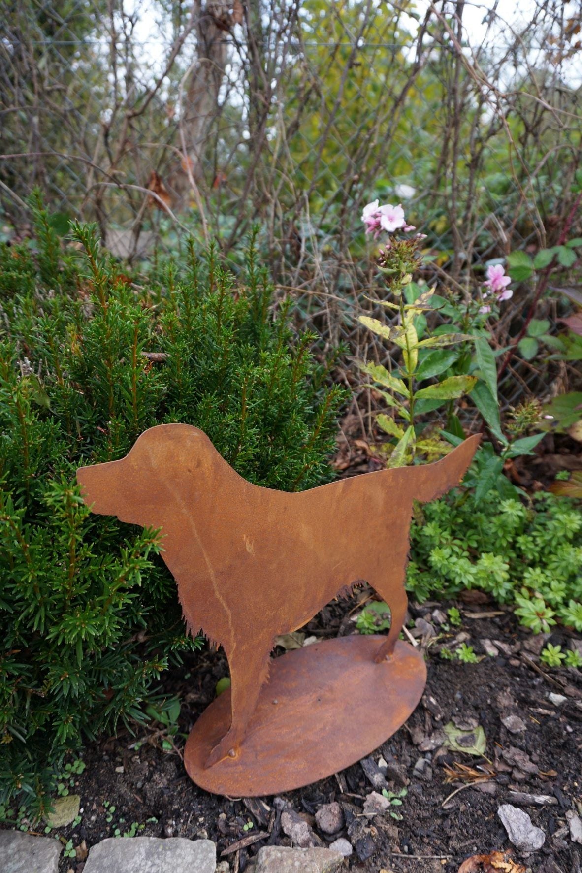Edelrost Hund Benni
