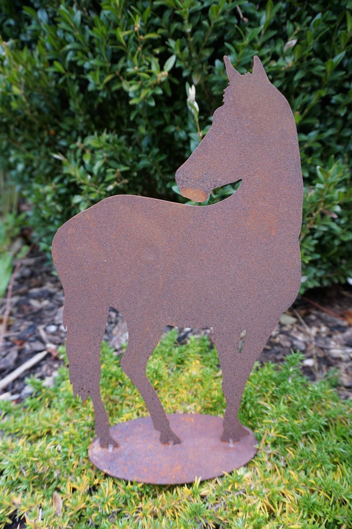 Edelrost Pferd
