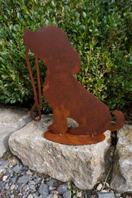 Dog "Rocki" 600