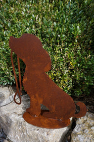 Dog "Rocki" 300