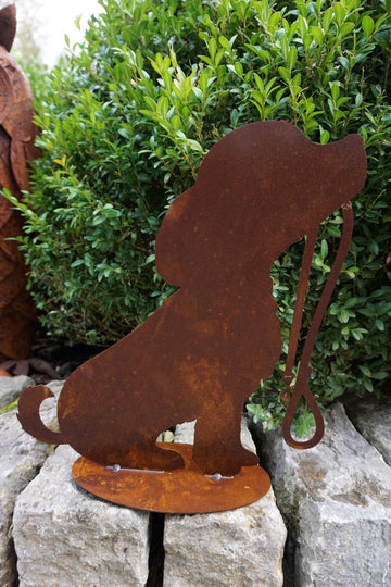 Chien « Rocki » 300