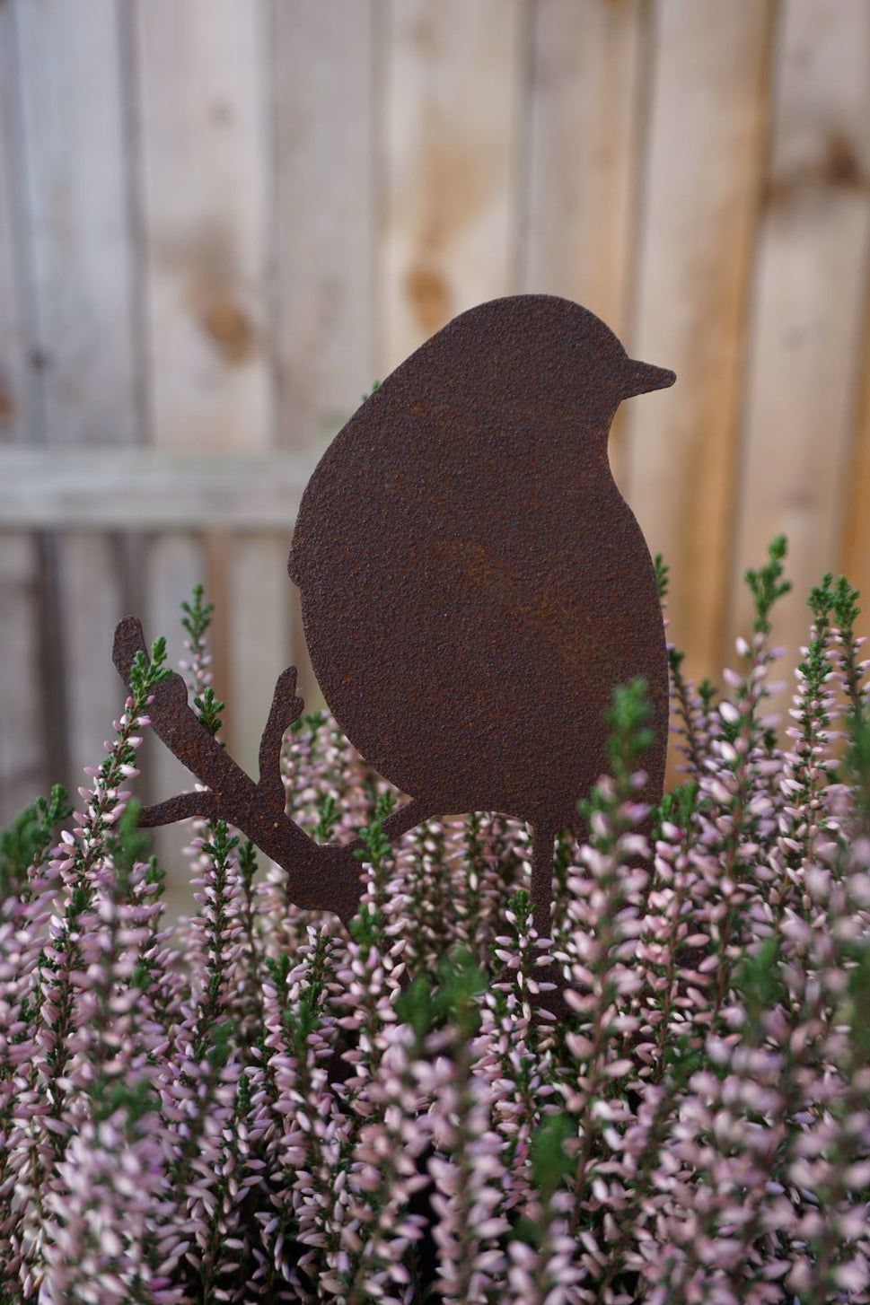 Little bird standing on a branch