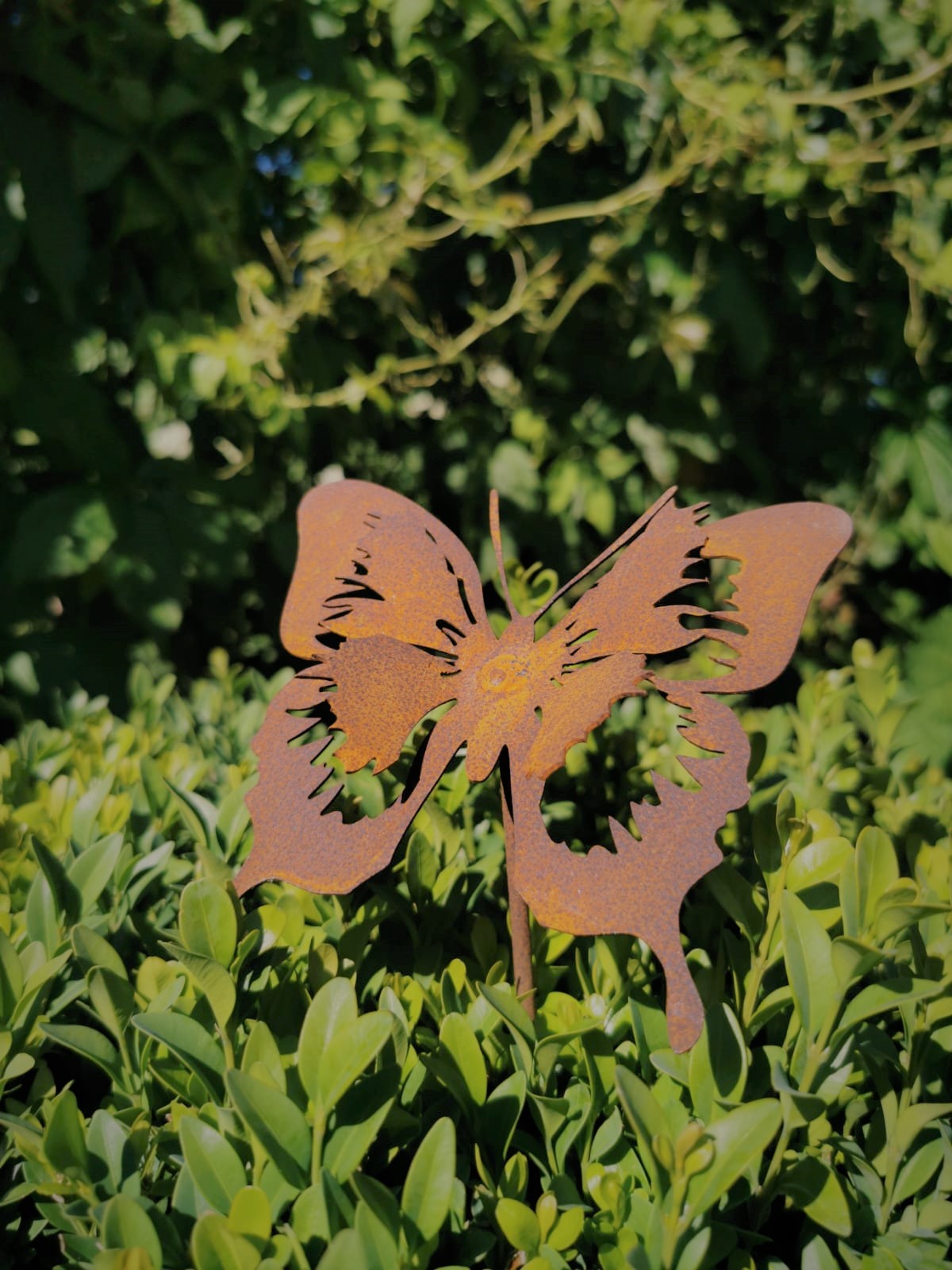 Butterfly Plug
