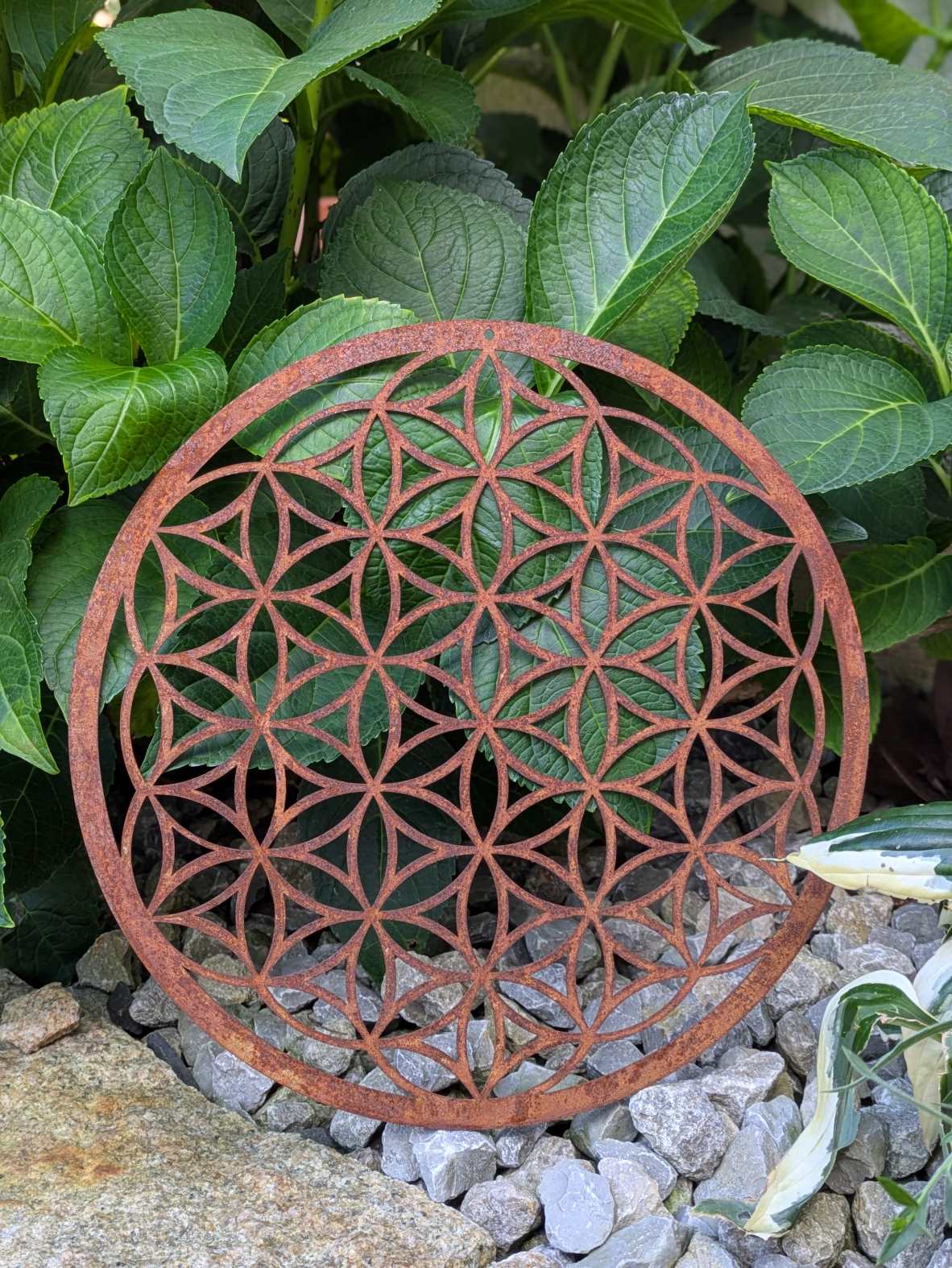 Ornament Blume des Lebens