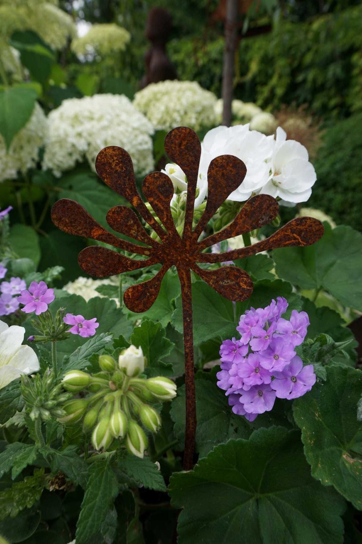 Star Bloom Safiore "B"