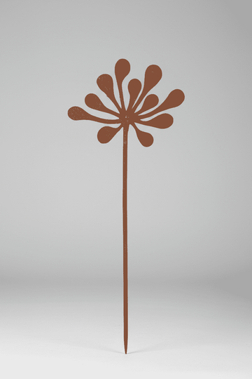 Star Bloom Safiore "B"
