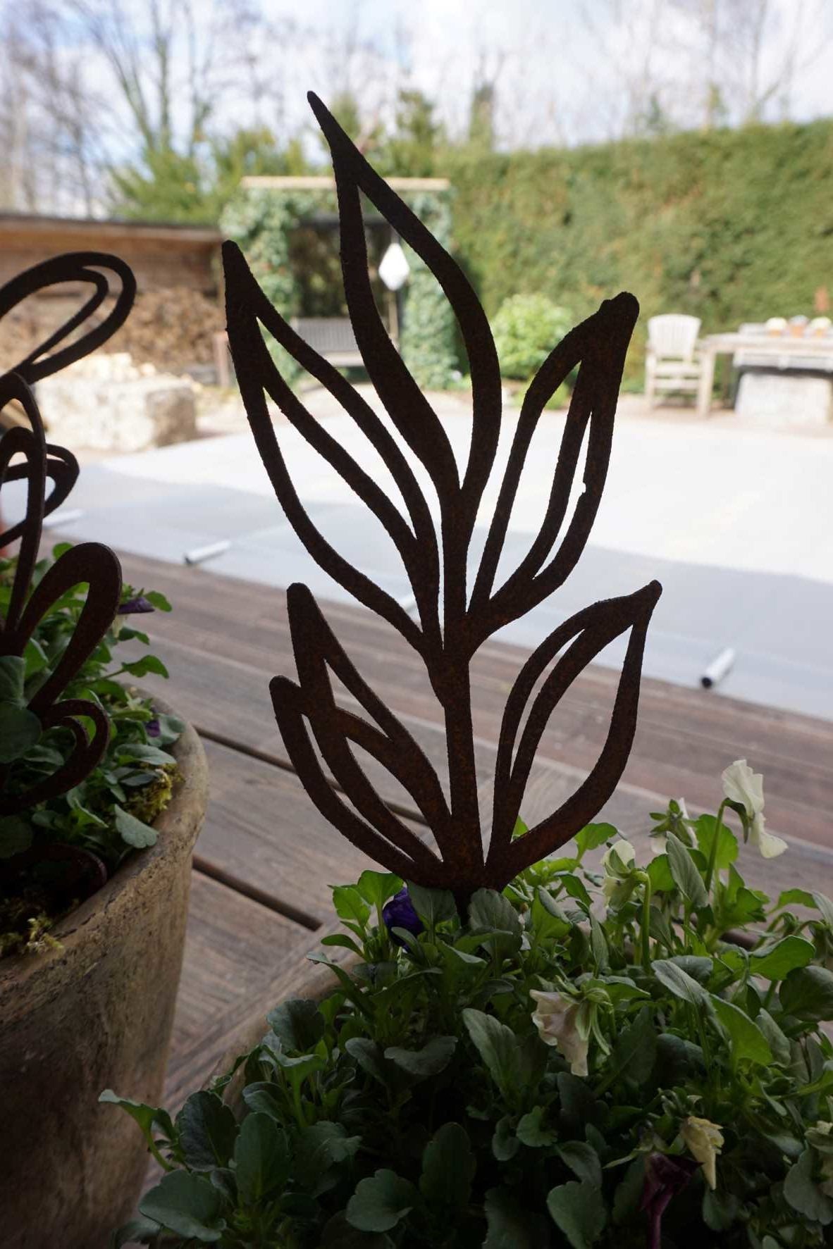 topfstecker-skizzen-mit-spitzen-bl-ttern-im Garten